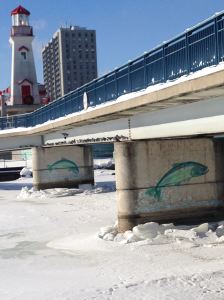 Pigeons under the bridge