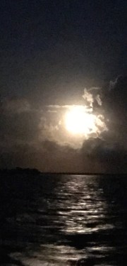 759BE181-A5BF-4E4A-A73E-DD07AAA872FB (1)